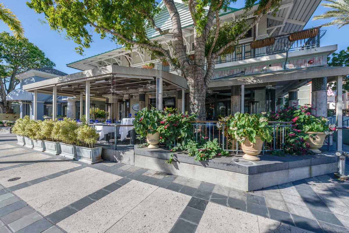 Best Places to Eat Oysters in Naples, Fl: Sea Salt