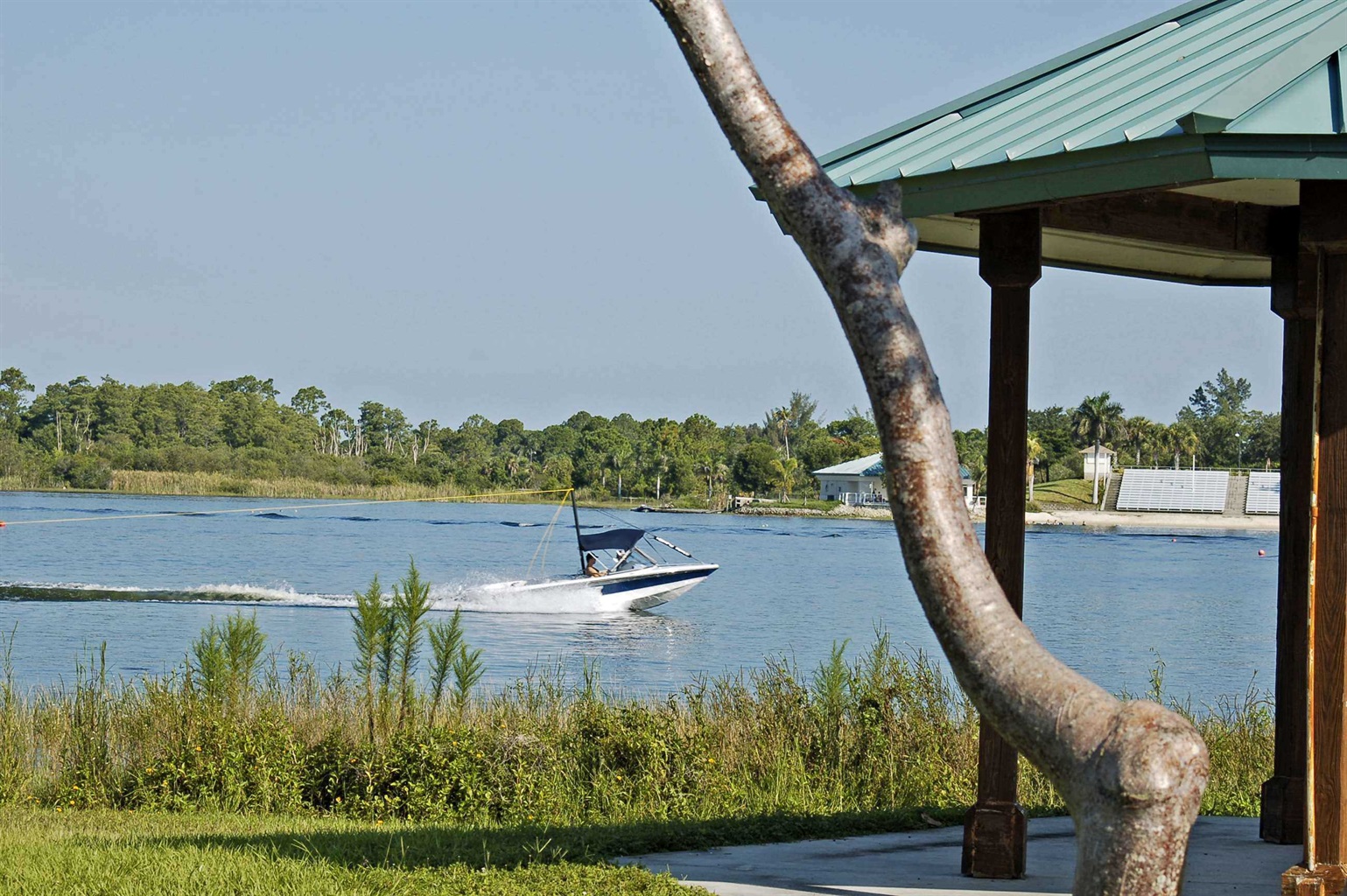 Top 5 Dog-Friendly Parks and Trails in Naples, Florida