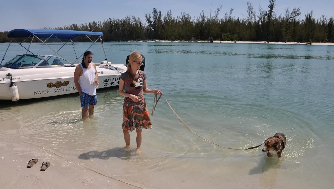 Where to Have a Beach Day With Your Dog in Naples, FL