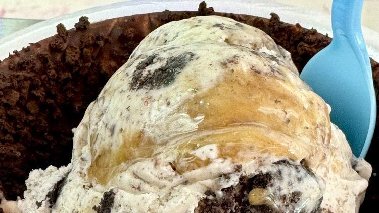 Top 5 Naples Ice Cream Spots: Best Scoops in Naples FL