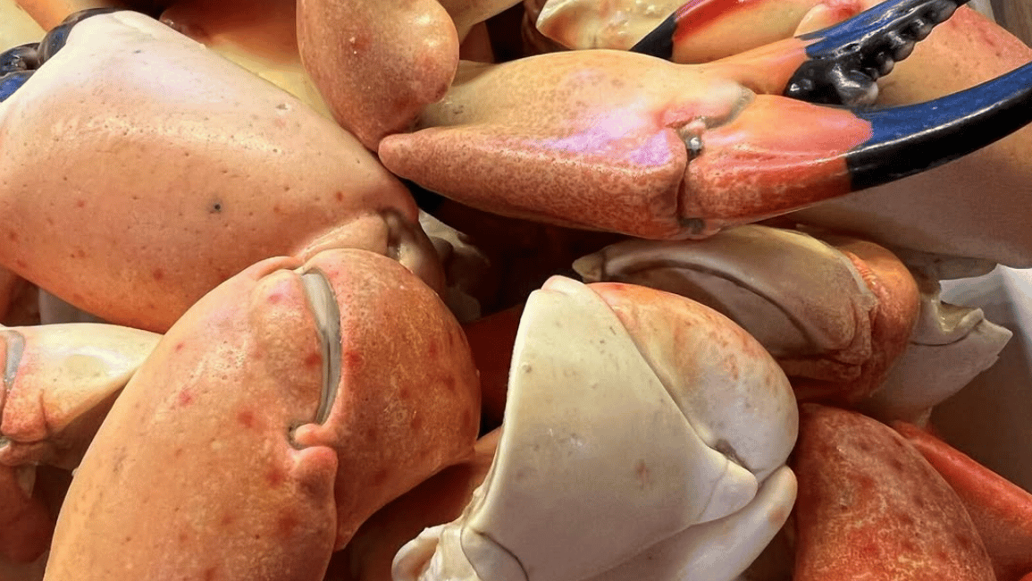 The Year in Flavor: Naples’ Best Bites, Sips & Escapes of 2025